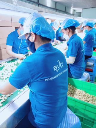  - Hạt Điều SVC - Công Ty Cổ Phần Quốc Tế SVC